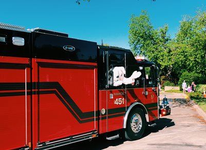 Person in Bunny Costume Leaning Out of Fire Truck Window